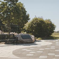Air Canada Flight  621 Gallery